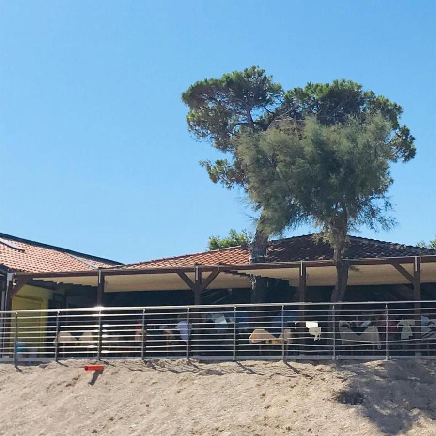 Camping La Pineta بورتو ريكاناتي المظهر الخارجي الصورة