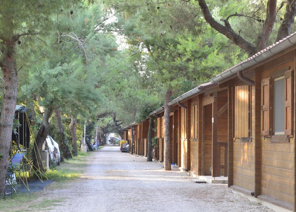 Camping La Pineta بورتو ريكاناتي المظهر الخارجي الصورة