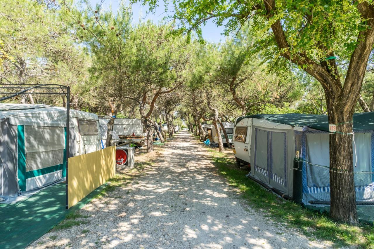 Camping La Pineta بورتو ريكاناتي المظهر الخارجي الصورة
